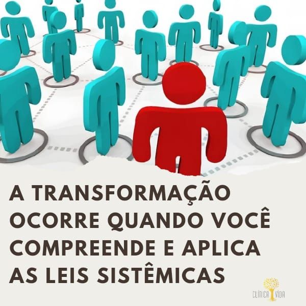 A Transformação ocorre quando você compreende e aplica as leis sistêmicas