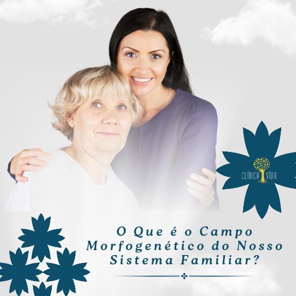 O que é o campo morfogenético do nosso sistema familiar?